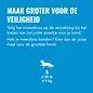 KONG KONG - Puppy - Flyer Small - Roze