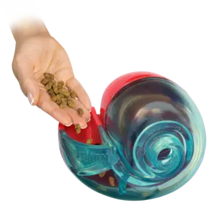 KONG KONG - Rewards Shell - Small