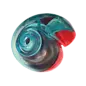 KONG KONG - Rewards Shell - Small