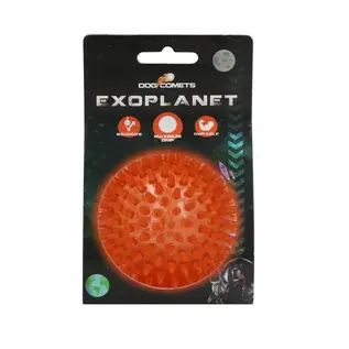Dog Comets Exoplanet Hedgehog Ball Medium - Orange