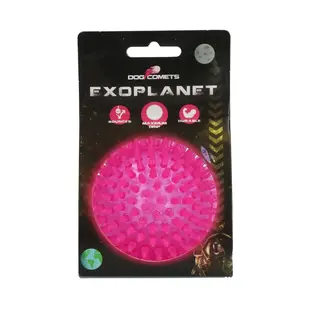 Dog Comets Exoplanet Hedgehog Ball Medium - Pink