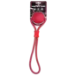 Dog Comets Vortex Loop – Rosa