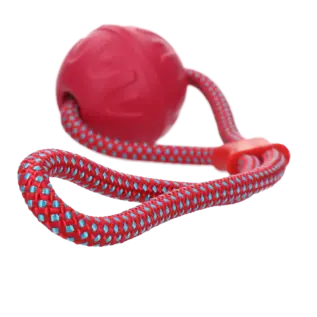Dog Comets Vortex Loop – Rosa