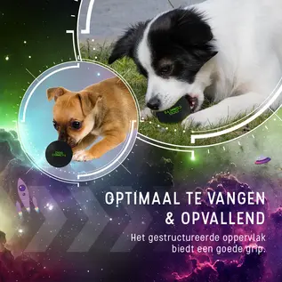 Dog Comets Stardust Small - Roze