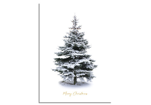 DesignClaud Weihnachtsposter Frohe Weihnachten Weihnachtsbaum - Goldlöckchen