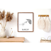 Blaricum Stadtplan-poster
