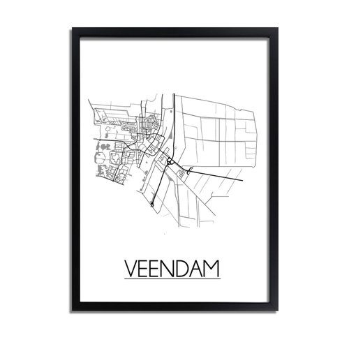 Veendam Plattegrond poster 