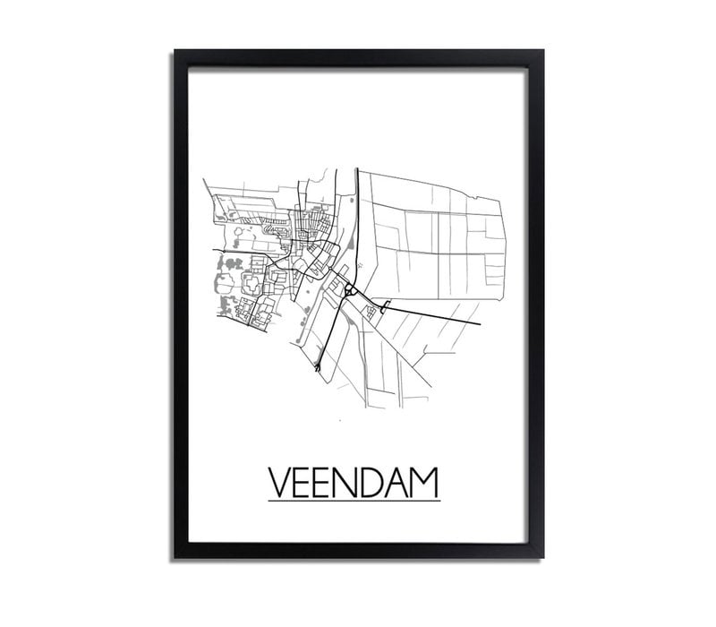 Veendam Plattegrond poster