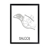 Balgoij Plattegrond poster
