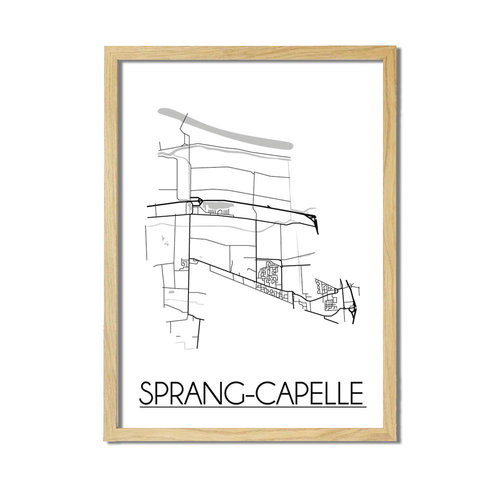 Sprang-Capelle Plattegrond poster 