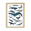 Scherpenheuvel Stadtplan-poster - Copy - Copy - Copy - Copy - Copy - Copy - Copy - Copy - Copy - Copy - Copy - Copy - Copy - Copy - Copy - Copy - Copy - Copy - Copy - Copy - Copy - Copy - Copy - Copy - Copy - Copy - Copy - Copy - Copy - Copy - Copy - Copy