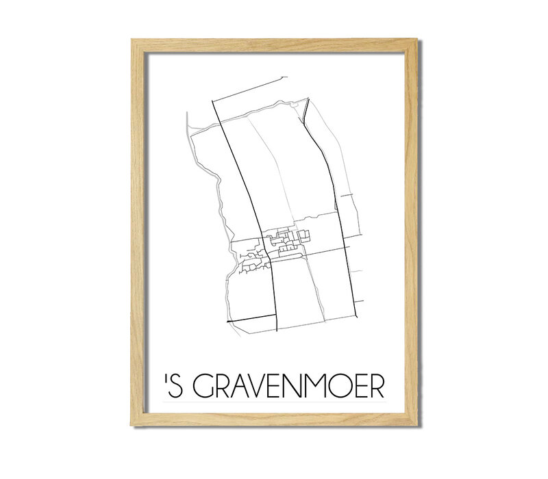 's Gravenmoer Plattegrond poster