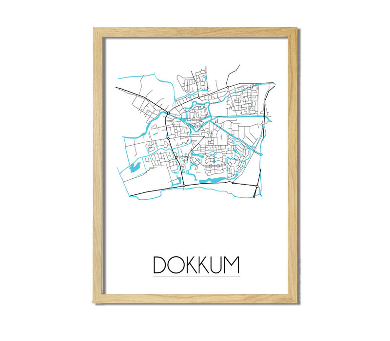 Dokkum Plattegrond poster