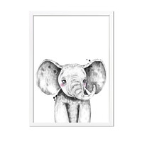 Olifant grijs