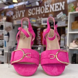 Sleehak MISTY -  Fuxia