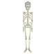 Halloween Pop Skelet Glow In The Dark 75cm Halloween Pop Skelet Glow In The Dark 75cm