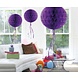 Honeycomb Bal Paars 30cm Honeycomb Bal Paars 30cm