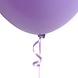 Ballon Snelsluiters Paars met Lint 100st Ballon Snelsluiters Paars met Lint 100st