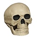Halloween Schedel 20cm Halloween Schedel 20cm