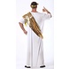 Caesar Kostuum Romeins Caesar Kostuum Romeins