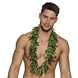 Hawaii Krans Groen Bladeren Hawaii Krans Groen Bladeren