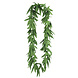 Hawaii Krans Groen Bladeren Hawaii Krans Groen Bladeren