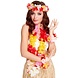 Hawaii Krans Set Gekleurd 4 delig Hawaii Krans Set Gekleurd 4 delig
