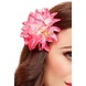 Haarbloem Roze Tropical 10cm Haarbloem Roze Tropical 10cm