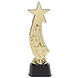 Gouden Award Ster 24cm Gouden Award Ster 24cm