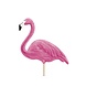 Flamingo Prikkers 23,5cm 6st Flamingo Prikkers 23,5cm 6st