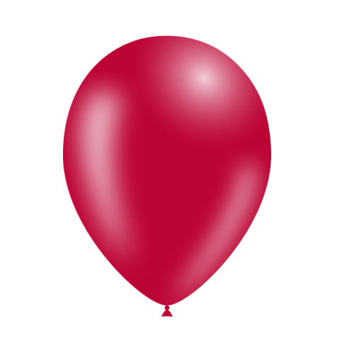 Rode Ballonnen 25cm 10st -