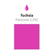 Fuchsia Ballonnen 30cm 50st Fuchsia Ballonnen 30cm 50st