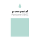 Groene Reuze Ballon Pastel XL 91cm Groene Reuze Ballon Pastel XL 91cm