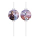 Frozen 2 Rietjes 4st Frozen 2 Rietjes 4st