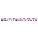 Frozen 2 Letterslinger Happy Birthday 2m Frozen 2 Letterslinger Happy Birthday 2m