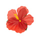 Hawaii Decoratie Bloemen 24st Hawaii Decoratie Bloemen 24st