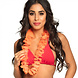 Hawaii Krans Oranje Hawaii Krans Oranje