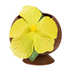 Kokosnoot Beker Hawaii Plastic 10cm Kokosnoot Beker Hawaii Plastic 10cm