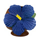 Kokosnoot Beker Hawaii Plastic 10cm Kokosnoot Beker Hawaii Plastic 10cm