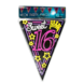 Slingers 16 jaar Sweet 16 Neon 10m Slingers 16 jaar Sweet 16 Neon 10m