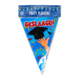 Geslaagd Slingers Carton 10m Geslaagd Slingers Carton 10m