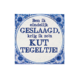 Delfts Blauw Tegel Geslaagd Kut 14,5cm Delfts Blauw Tegel Geslaagd Kut 14,5cm