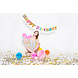 Confetti Kanon Zilver 60cm Confetti Kanon Zilver 60cm