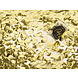 Confetti Kanon Goud 18cm Confetti Kanon Goud 18cm