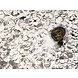 Confetti Kanon Zilver 18cm Confetti Kanon Zilver 18cm