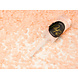Confetti Kanon Perzikkleur 18cm Confetti Kanon Perzikkleur 18cm