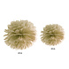 Pompon Goud 35cm Pompon Goud 35cm
