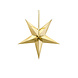 Gouden Lampion Ster 45cm Gouden Lampion Ster 45cm