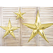 Gouden Lampion Ster 45cm Gouden Lampion Ster 45cm