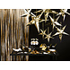 Gouden Lampion Ster 45cm Gouden Lampion Ster 45cm